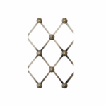 AM.GRL.REG.38.FLR.EVJ.NMS